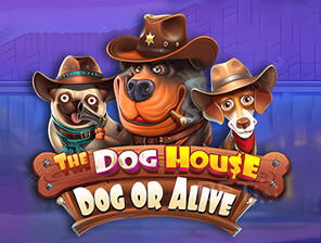 The Dog House - Dog or Alive
