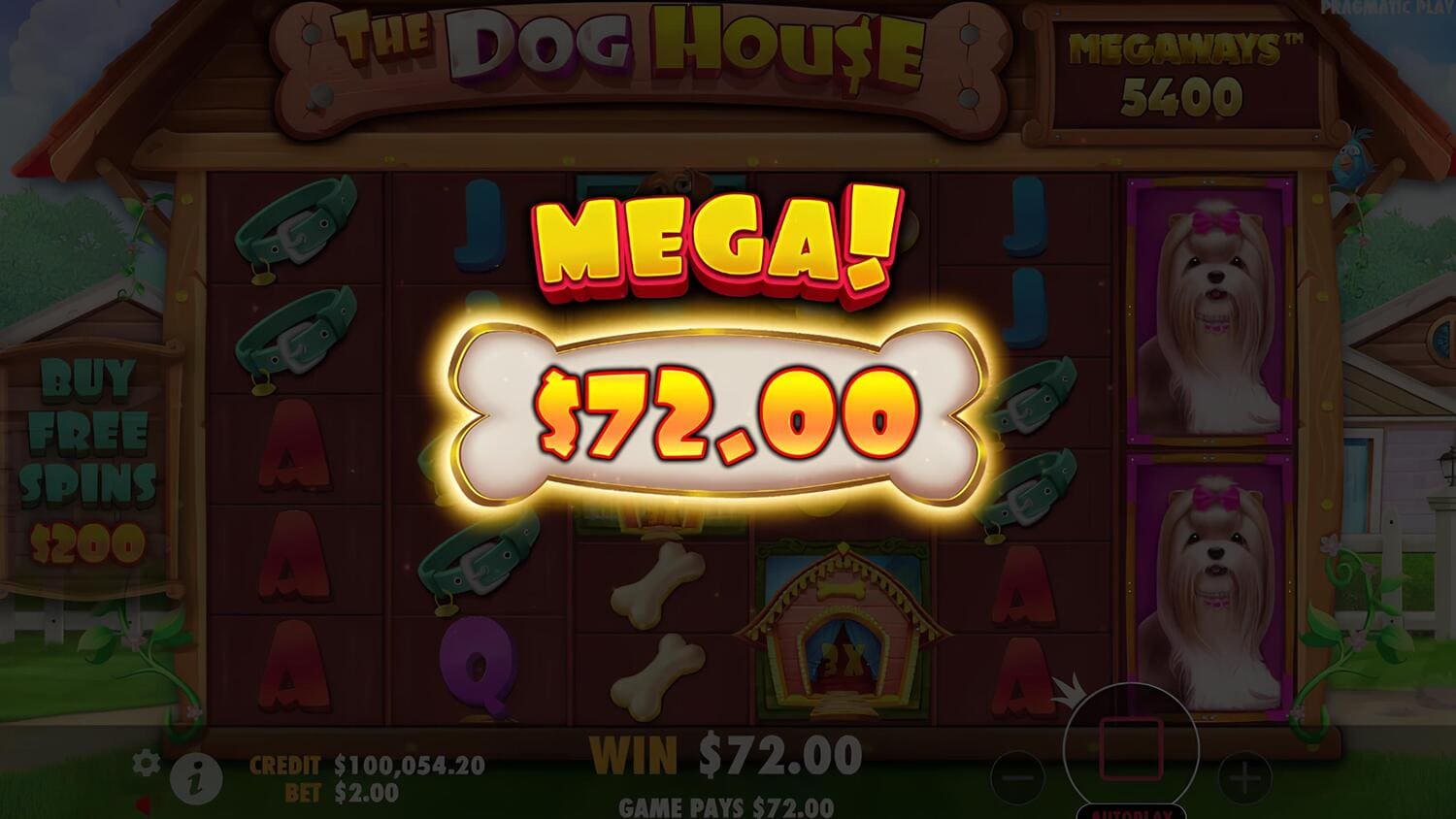 mega-win-the-dog-house-megaways